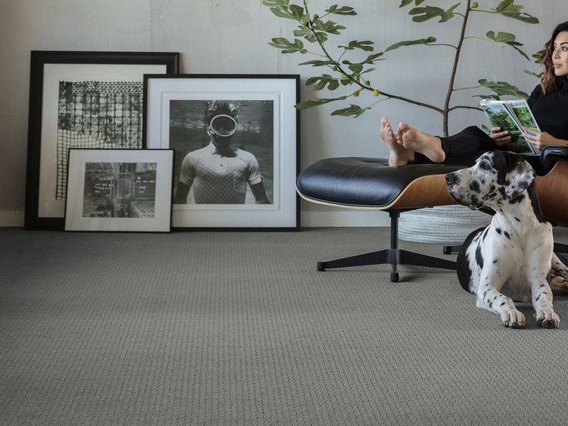 woman reading on chair with a dog sitting next to her on a gray carpet from Excel Carpet LTD in the Commack, NY area